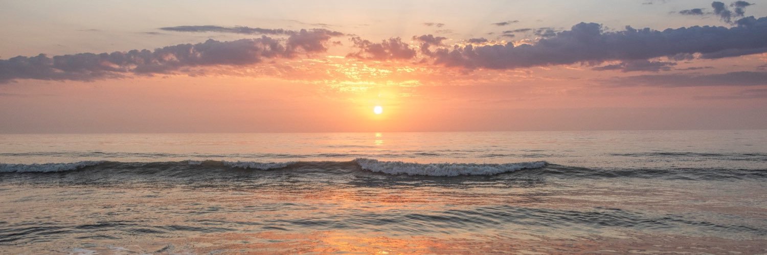 Chelsea Buchanan banner