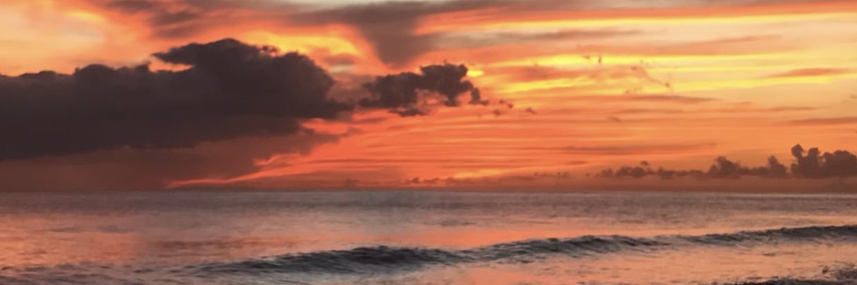 Nickckim's profile banner image