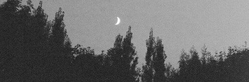 ppcy507's profile banner image