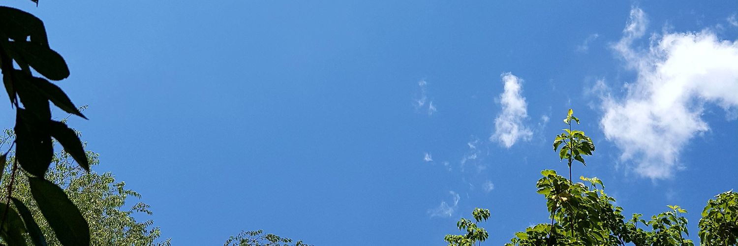 ThienhaiD's profile banner image