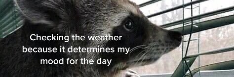 Jonathan Marcus banner