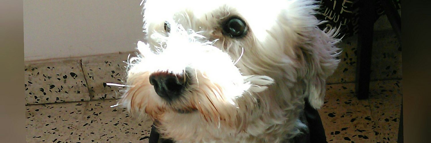 BarbiBravoo's profile banner image