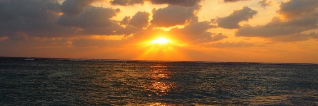 yeaharu_27's profile banner image