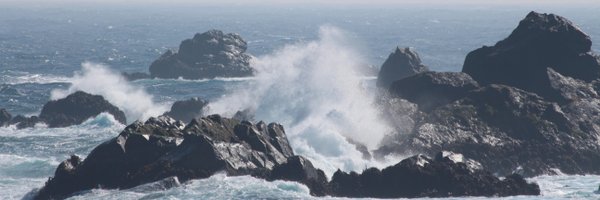 CARLOSPINOMD Profile Banner