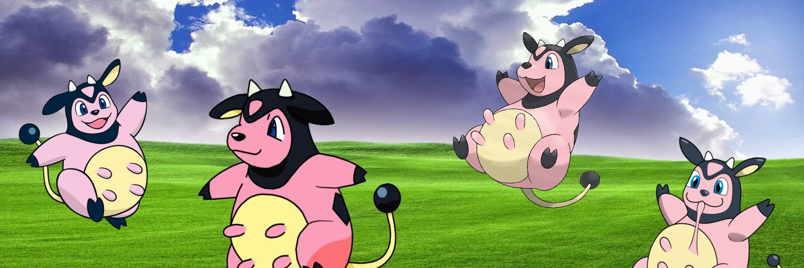 pollopank's profile banner image