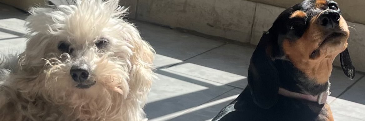 alegozza1's profile banner image