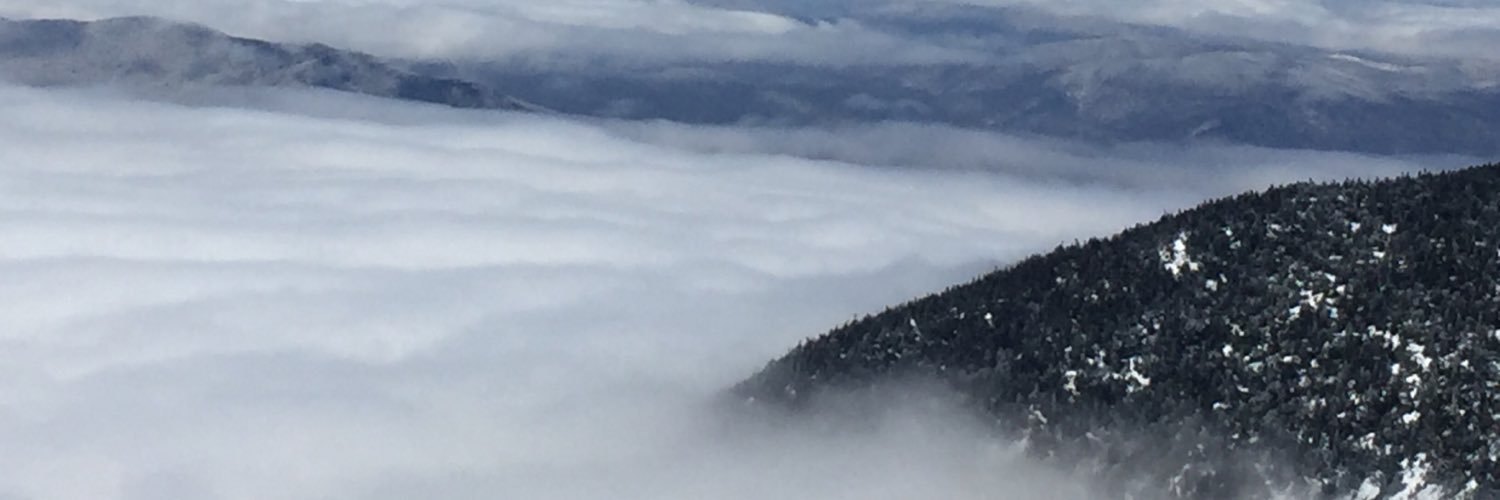 lewbird133's profile banner image