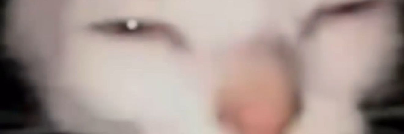 Gavarion's Biggest Fan banner