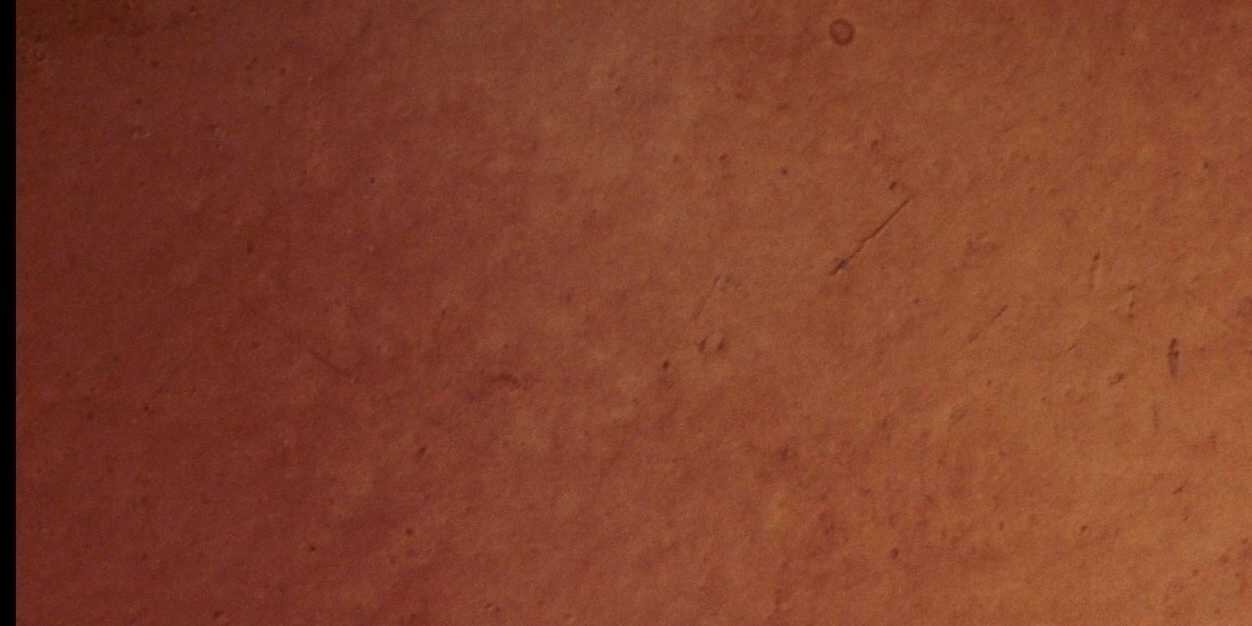 BeltranBilly1's profile banner image