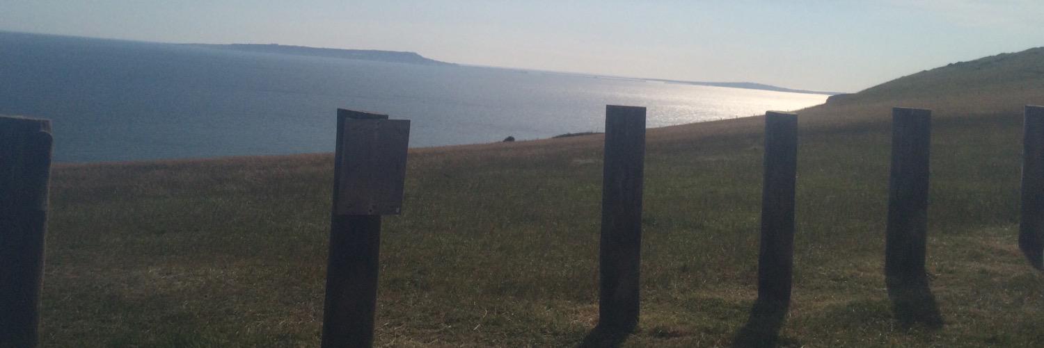 Steve Woolley banner