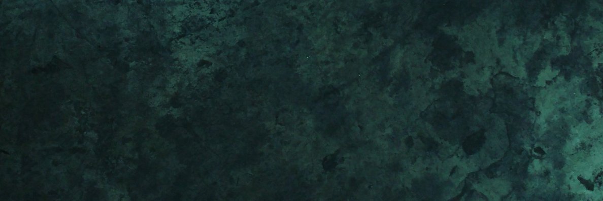 OedipusOctopus's profile banner image