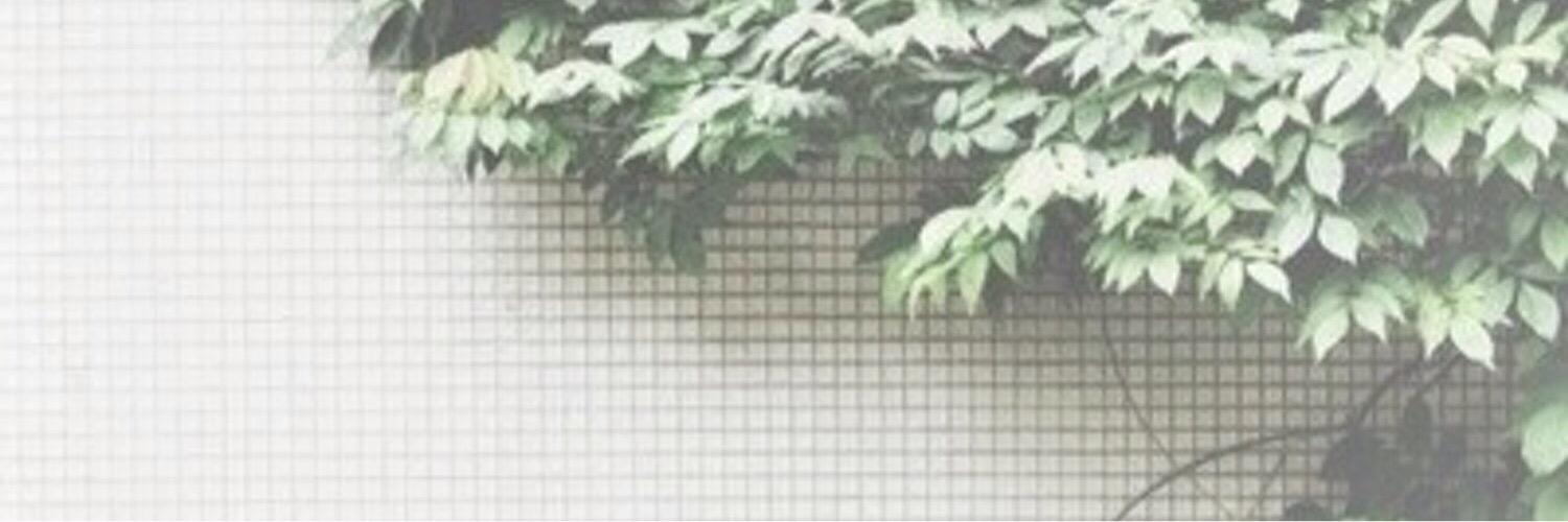 freelcve's profile banner image