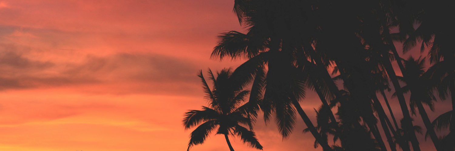 James Riley 👑 banner