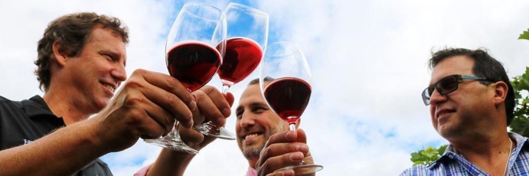 Visit Niagara banner