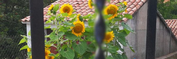 Peruseta Profile Banner