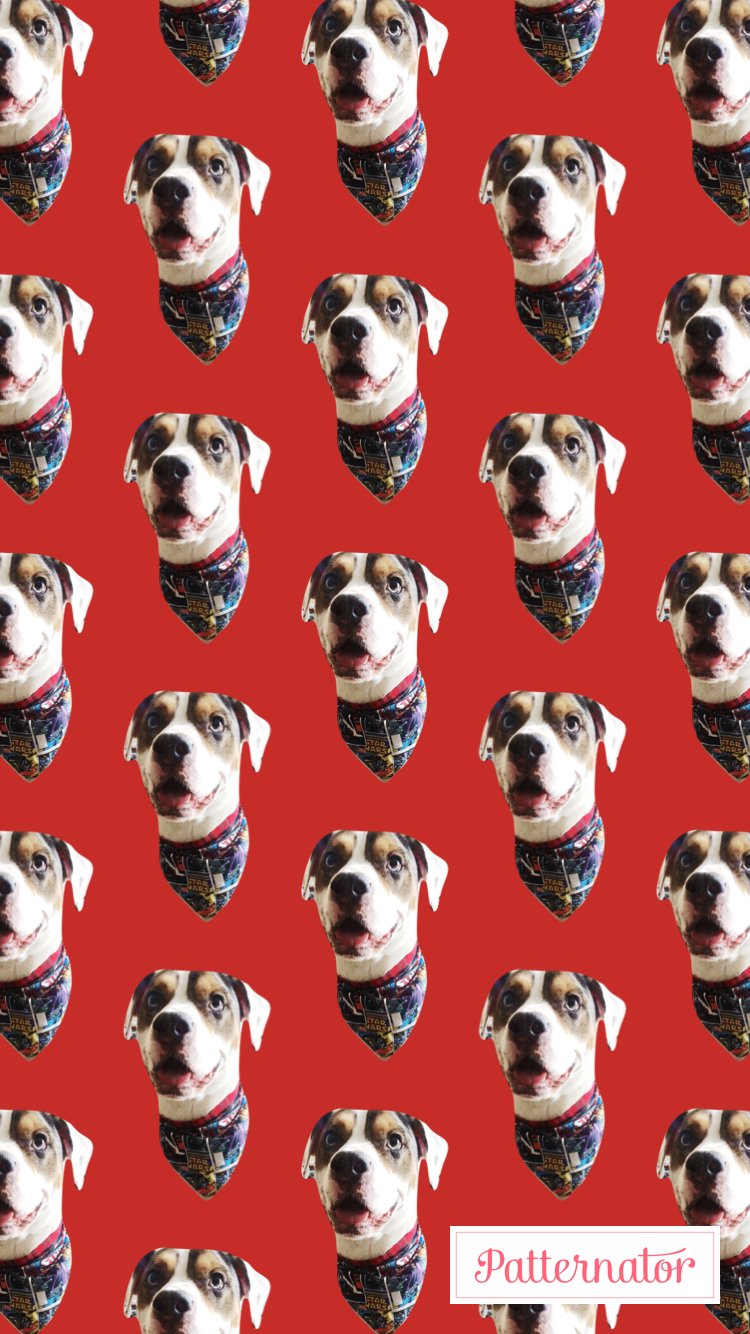 kari_m_r_'s profile banner image