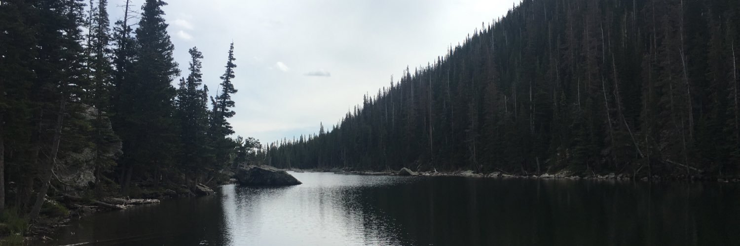 regan_johnson's profile banner image