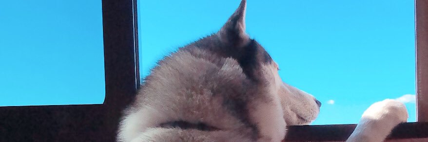 PPerez94's profile banner image