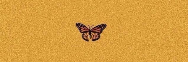 geovanaphr's profile banner image