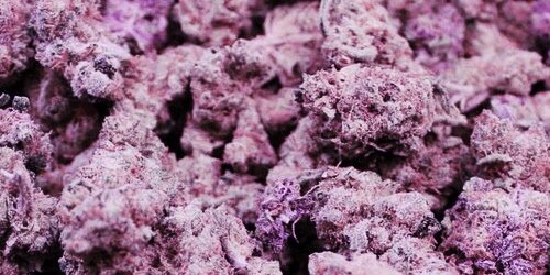 ECCannabisChick's profile banner image