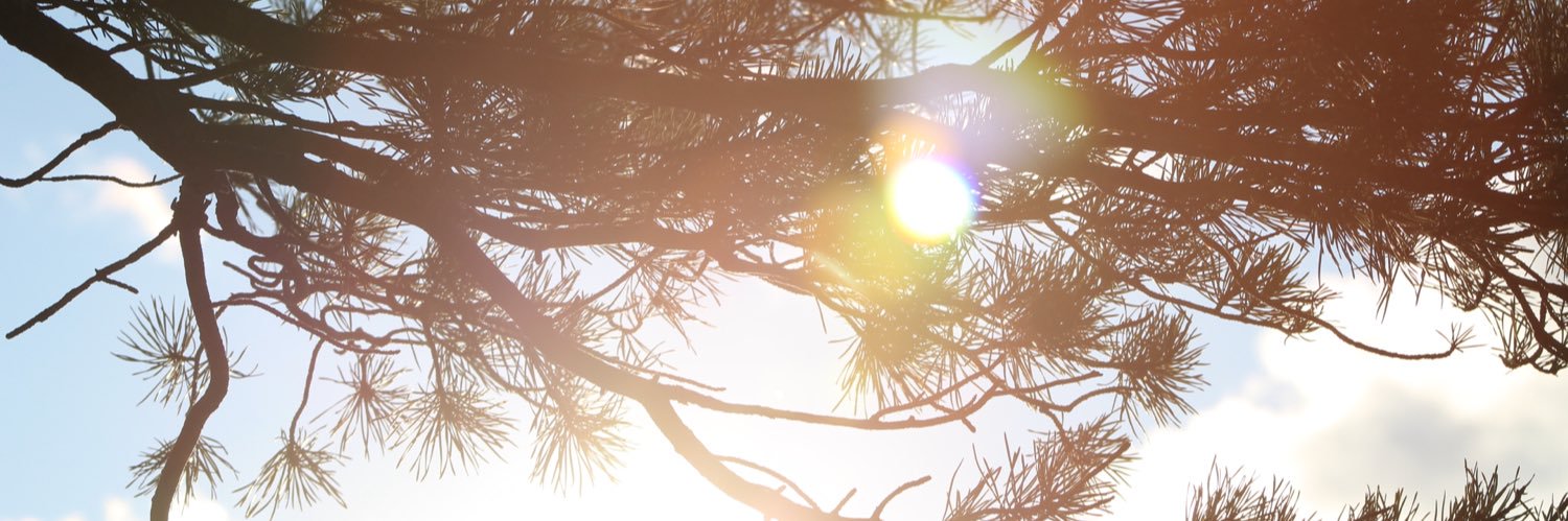 M_Lash13's profile banner image
