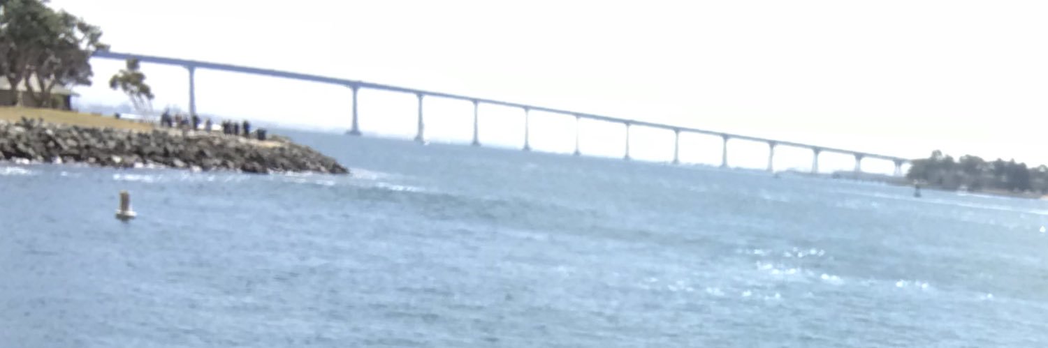 Melissa Romero banner