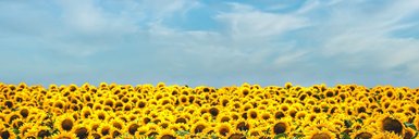 nj0416's profile banner image