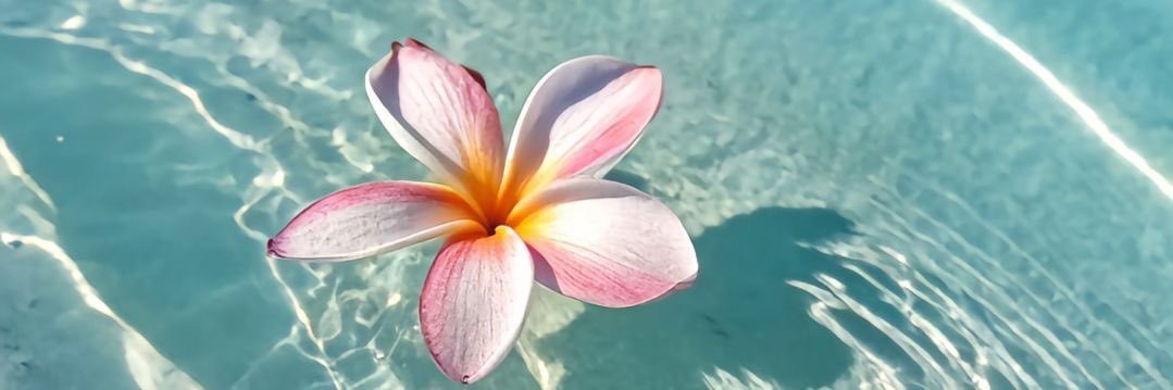 OrianaDFonsi's profile banner image