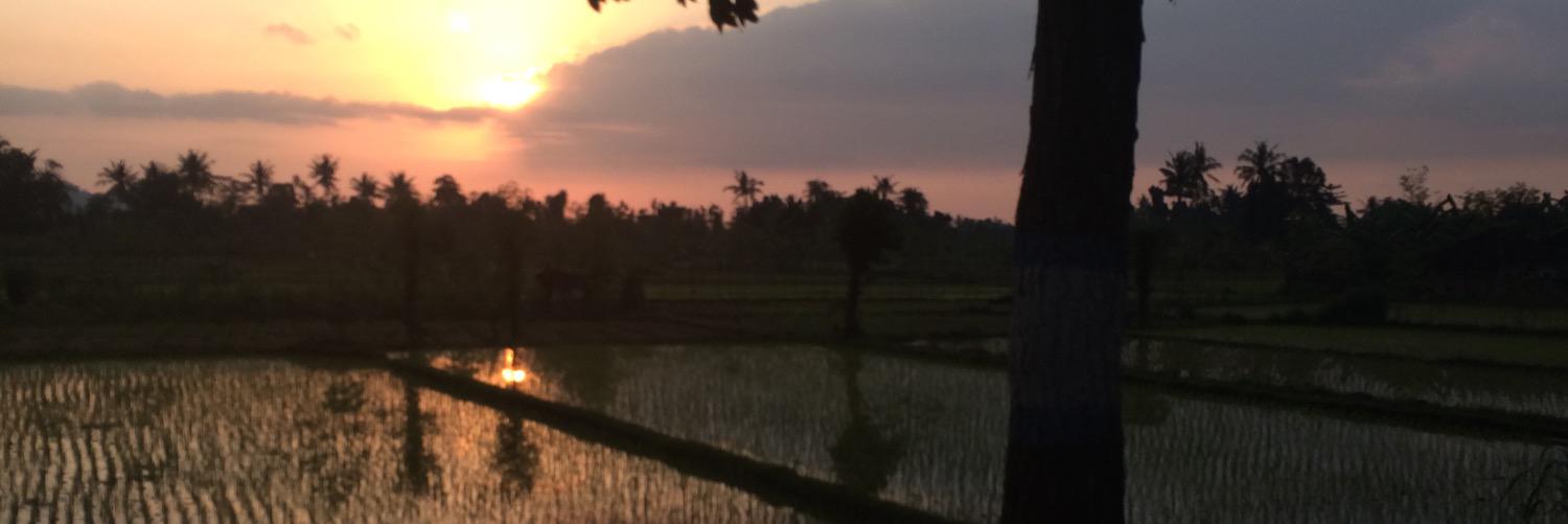 FelixPerGi's profile banner image