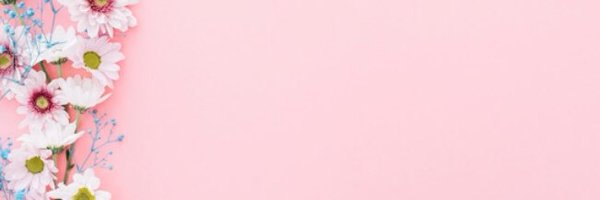 Likes & Rosé Profile Banner