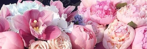 caluserdan's profile banner image