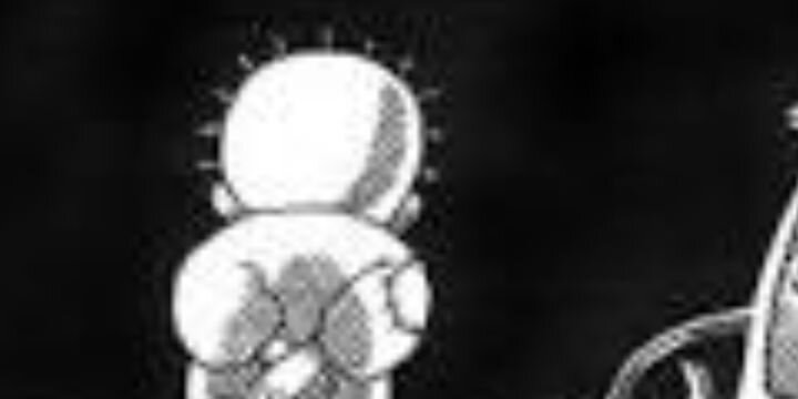 kkhawaldi's profile banner image