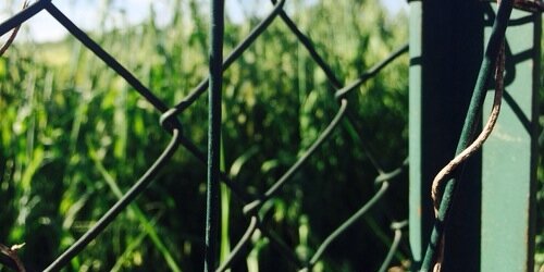 RedPenitentiary's profile banner image