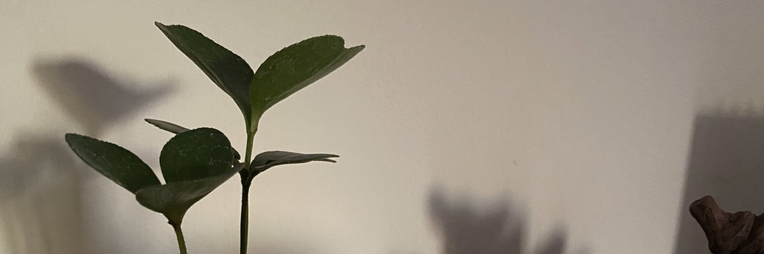 WengIvy's profile banner image