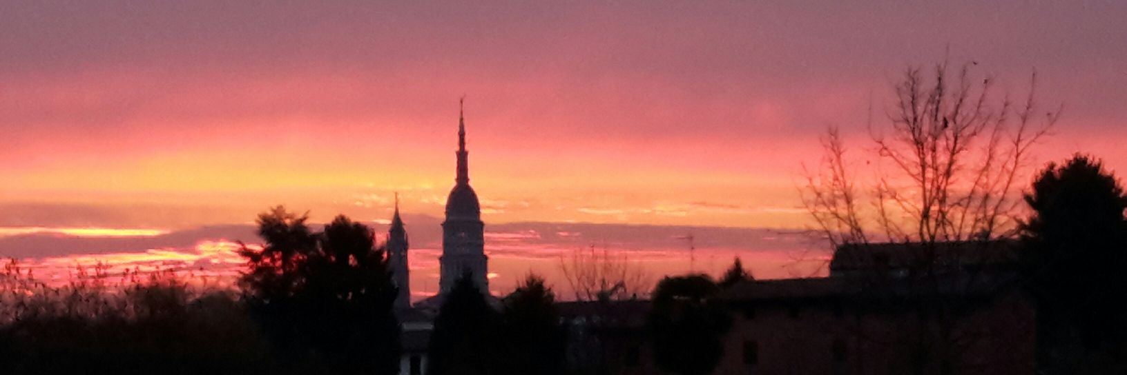 Cristina D'Ercole banner