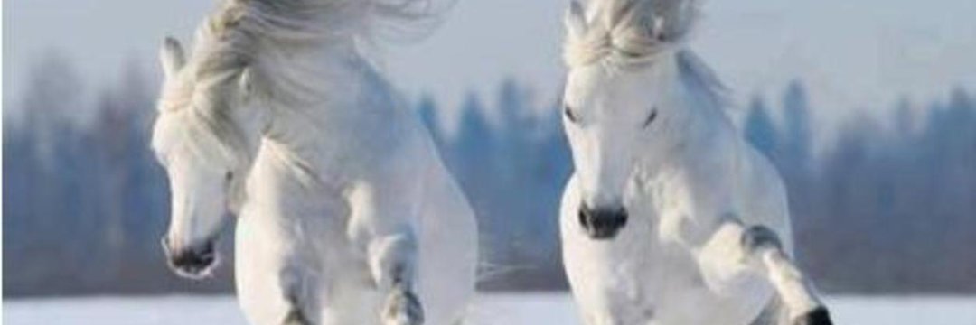caleb9513's profile banner image