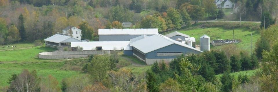 Lindenright's profile banner image