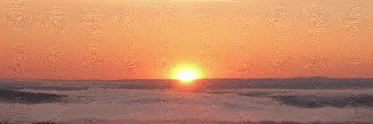 Dimple Rogers banner