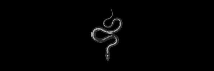 prazerlua__'s profile banner image
