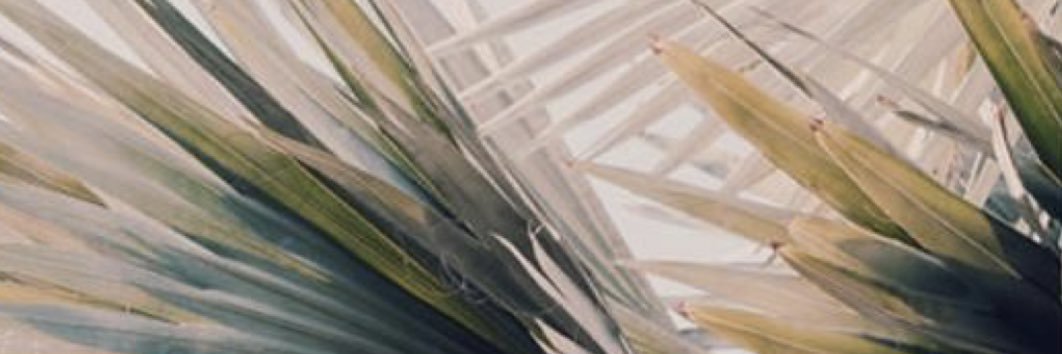rileysmall's profile banner image