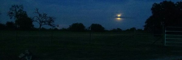 radld Profile Banner