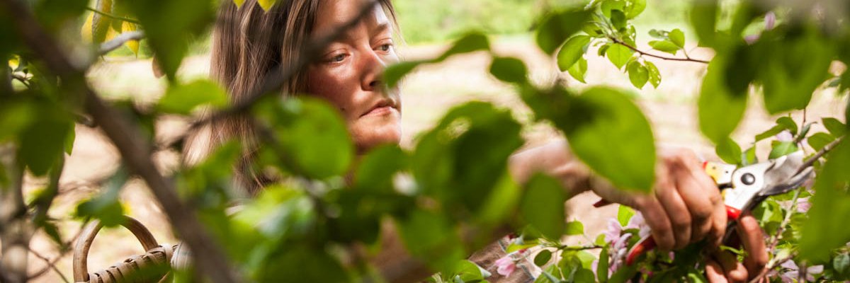 JBenfordPhoto's profile banner image
