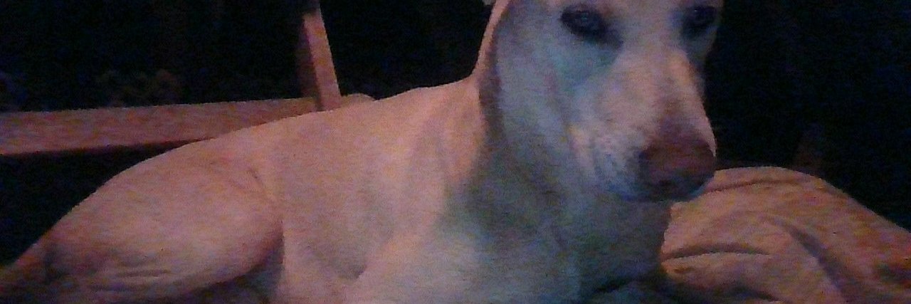 Sandy Procter (I lost my primary acct. so this...) banner