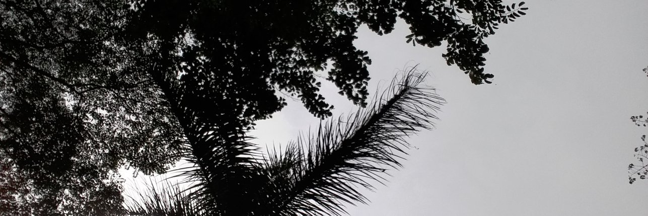 DavisMusimirehe's profile banner image