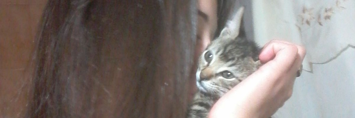 vikicolo4's profile banner image