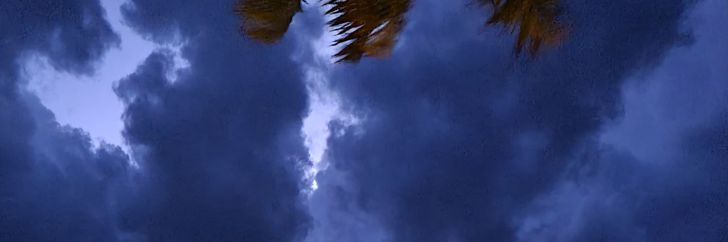 veronicamihel's profile banner image