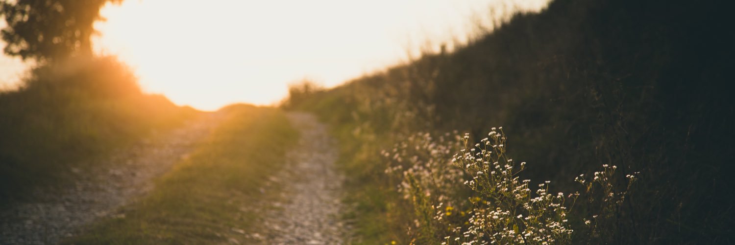 gengiving's profile banner image