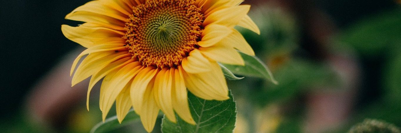 aina_984's profile banner image