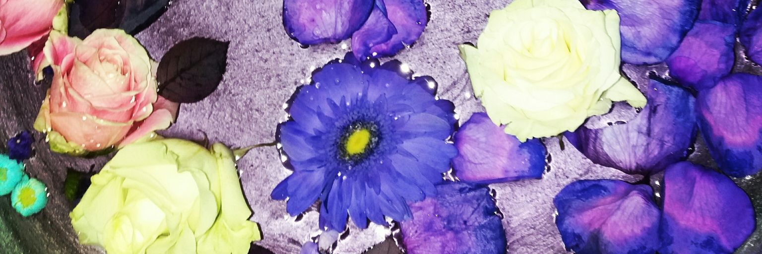 Berlmarie's profile banner image