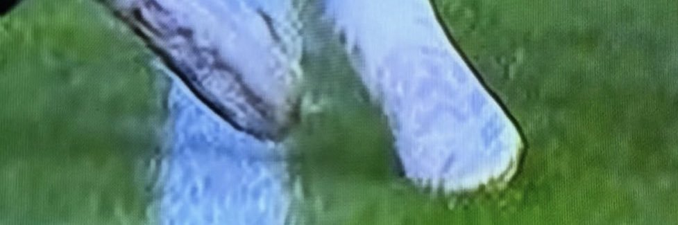 shawnfitz_'s profile banner image